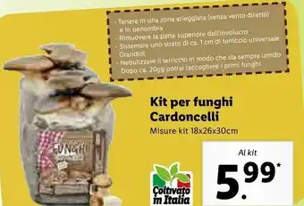 Lidl Kit per funghi cardoncelli offerta