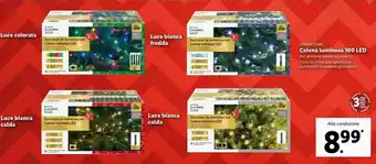 Lidl Livarno home catena luminosa 100 led offerta