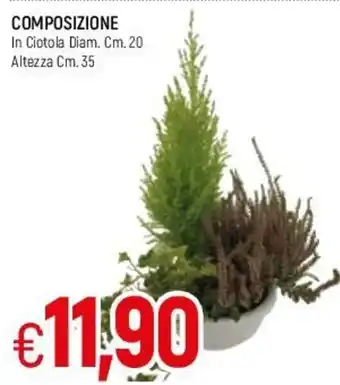 Famila Composizione In Ciotola Diam. Cm. 20 Altezza Cm. 35 offerta