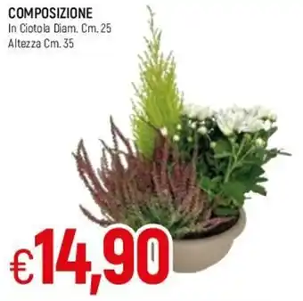 Famila Composizione In Ciotola Diam. Cm. 25 Altezza Cm. 35 offerta