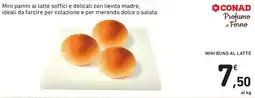 Spazio Conad MINI BUNS AL LATTE offerta