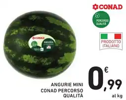 ANGURIE MINI CONAD PERCORSO QUALITÀ