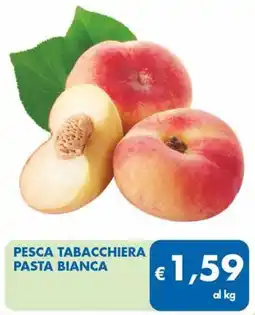 MD Discount PESCA TABACCHIERA PASTA BIANCA offerta