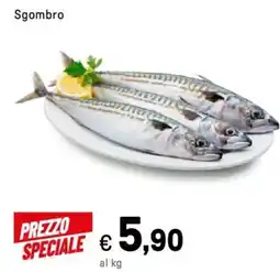 Iper La Grande Sgombro offerta