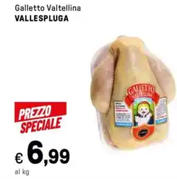 Iper La Grande Galletto Valtellina VALLESPLUGA offerta