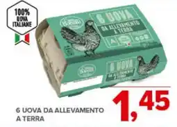 Todis 6 UOVA DA ALLEVAMENTO A TERRA offerta