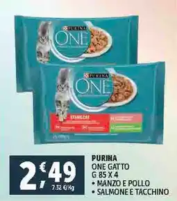 Deco Supermercati PURINA ONE GATTO offerta