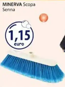 Acqua & Sapone MINERVA Scopa Senna offerta