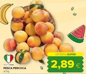 Tigre PESCA PERCOCA offerta