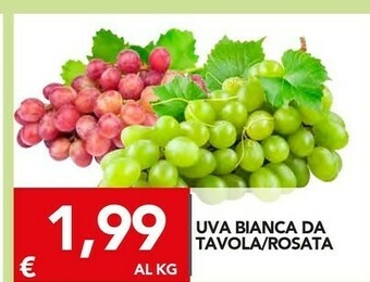 TuoDi Uva offerta