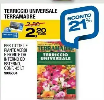 Bricofer Terriccio universale terramadre offerta