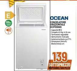 Expert OCEAN CONGELATORE ORIZZONTALE OCP100WE offerta