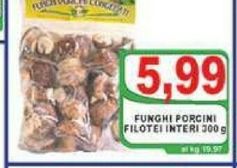 Funghi porcini