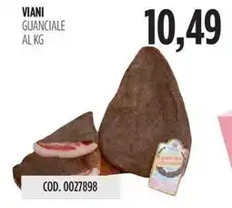 Carico Cash & Carry VIANI GUANCIALE offerta