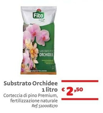 Bricocenter Piante offerta