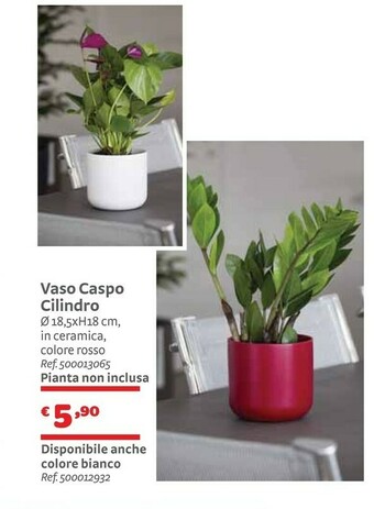 Bricocenter Piante offerta