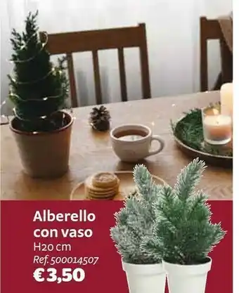 Bricocenter Piante offerta