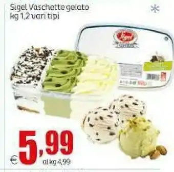 Elite Vaschette gelato offerta
