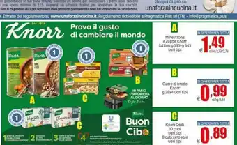 Elite Knorr - il minestrone di 11 verdure selezionate 535 g(ml) offerta