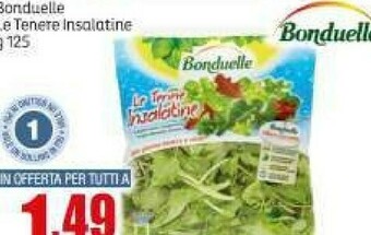 Elite Insalata offerta