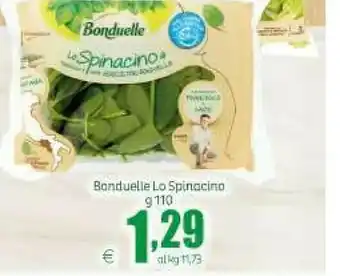 Elite Carta delle insalate 110 g(ml) offerta
