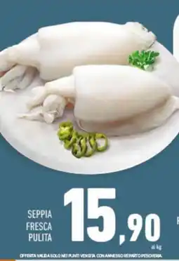 Conad SEPPIA FRESCA PULITA offerta