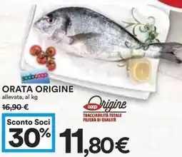 Coop ORATA ORIGINE allevata, al kg offerta
