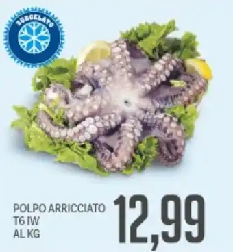 Supermercati Piccolo POLPO ARRICCIATO T6 IW offerta