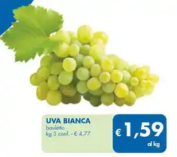 MD Discount UVA BIANCA bauletto offerta