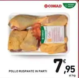 Spazio Conad POLLO RUSPANTE IN PARTI offerta
