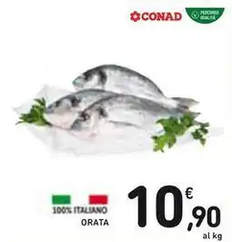 Spazio Conad ORATA offerta