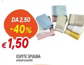 Galassia OSPITE SPUGNA offerta