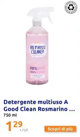 Action Detergente multiuso A Good Clean Rosmarino 750 ml offerta
