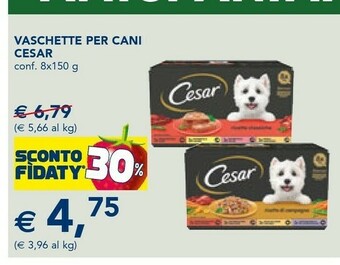Esselunga Vaschette per cani offerta