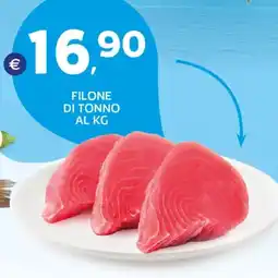 Extra Supermercati FILONE DI TONNO offerta