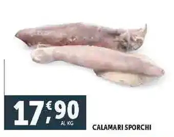 Deco Supermercati CALAMARI SPORCHI offerta