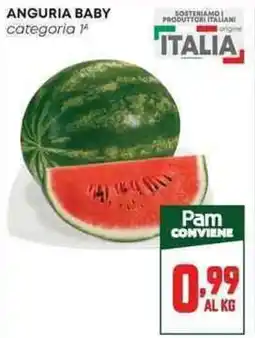 Pam ANGURIA BABY offerta