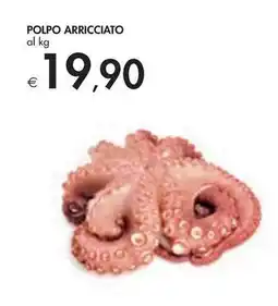 Bennet POLPO ARRICCIATO offerta