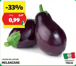 ALDI I COLORI DEL SAPORE MELANZANE offerta