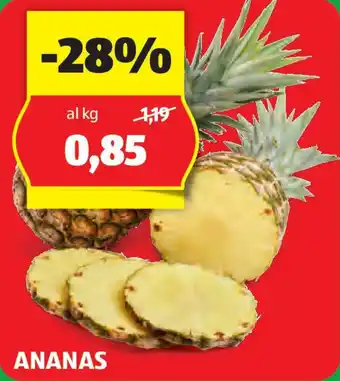 ALDI ANANAS offerta