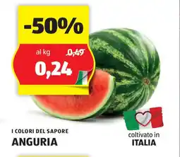 ALDI I COLORI DEL SAPORE ANGURIA offerta