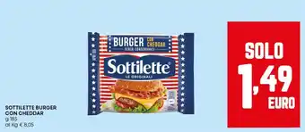 Panorama SOTTILETTE BURGER CON CHEDDAR offerta