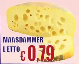 MAASDAMMER