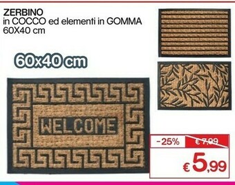 Satur Zerbino offerta