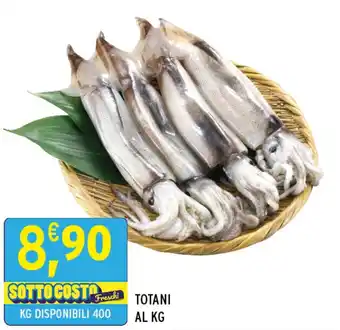 Gecop TOTANI offerta