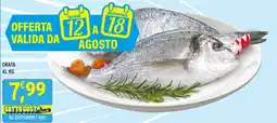 Gecop ORATA offerta