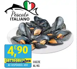 Gecop COZZE offerta