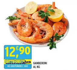 Gecop GAMBERONI offerta