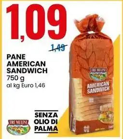 Eurospin TRE MULINI PANE AMERICAN SANDWICH offerta