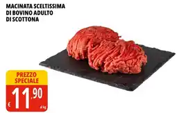 Tigros MACINATA SCELTISSIMA DI BOVINO ADULTO DI SCOTTONA offerta